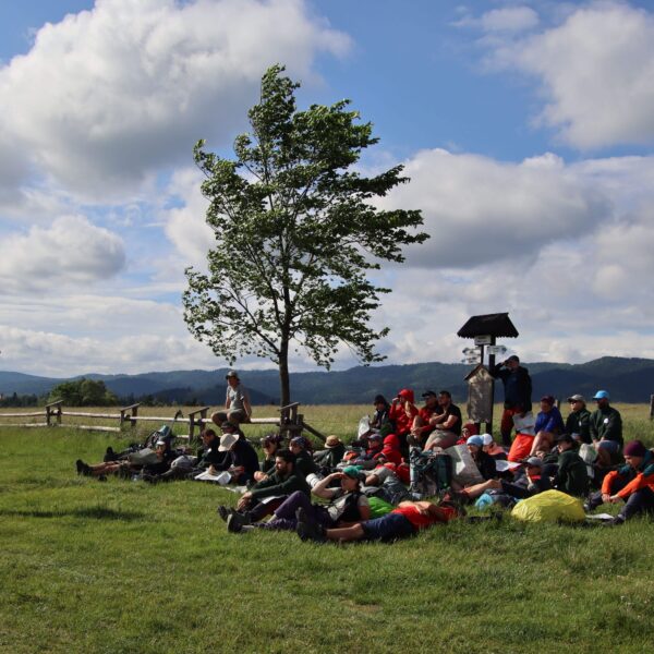 53764931841_b4d177c3ea_6k-min-min