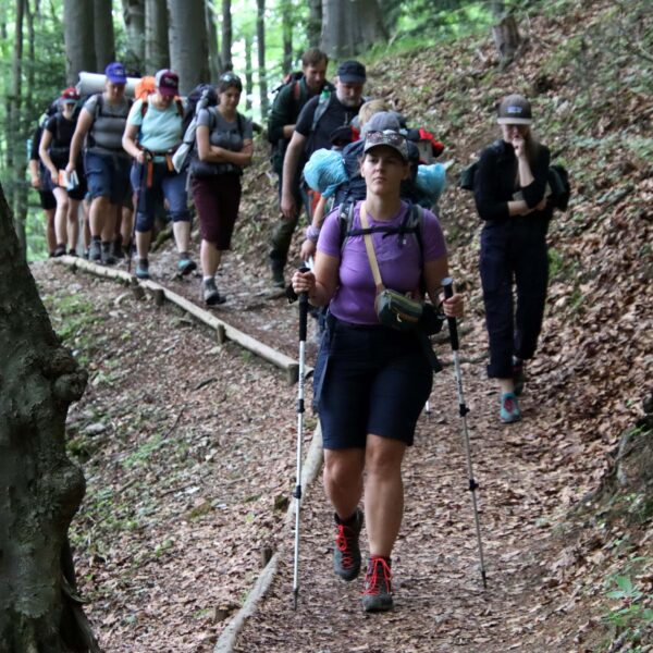 53764935166_b30b3349fb_6k-min