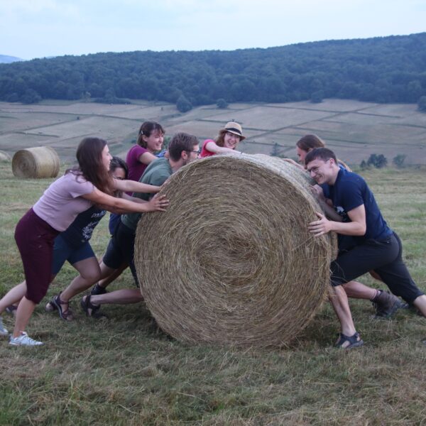 53855551882_b8f0a1b570_6k-min