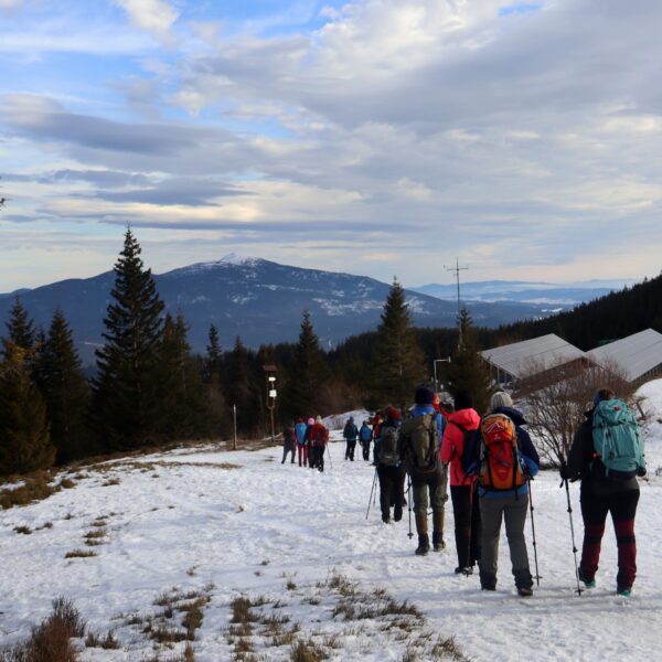 54251505890_4a894d007b_6k-min