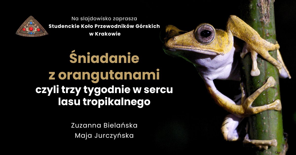 Zaproszenie na slajdowisko: „Śniadanie z orangutanami, czyli trzy tygodnie w sercu lasu tropikalnego!”
